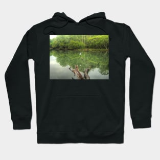 Reflections of Booragul Hoodie